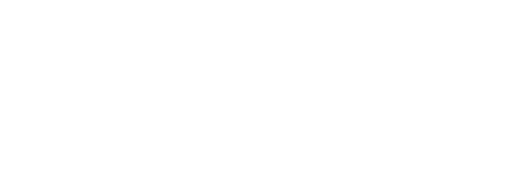 Ajax domestic spares logo